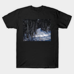 Trail tracks T-Shirt